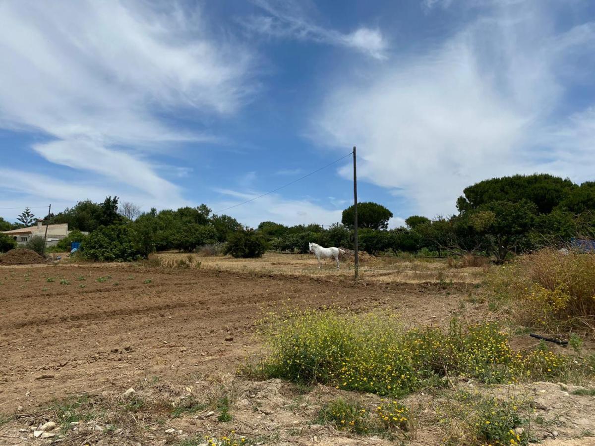 הוילה צ'יקלנה דה לה פרונטרה Chiclana Mobile House - Piscina , Wi-Fi, Relax מראה חיצוני תמונה