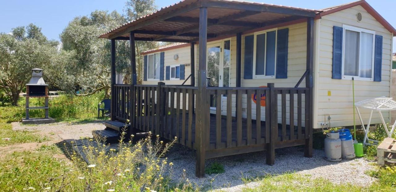 הוילה צ'יקלנה דה לה פרונטרה Chiclana Mobile House - Piscina , Wi-Fi, Relax מראה חיצוני תמונה